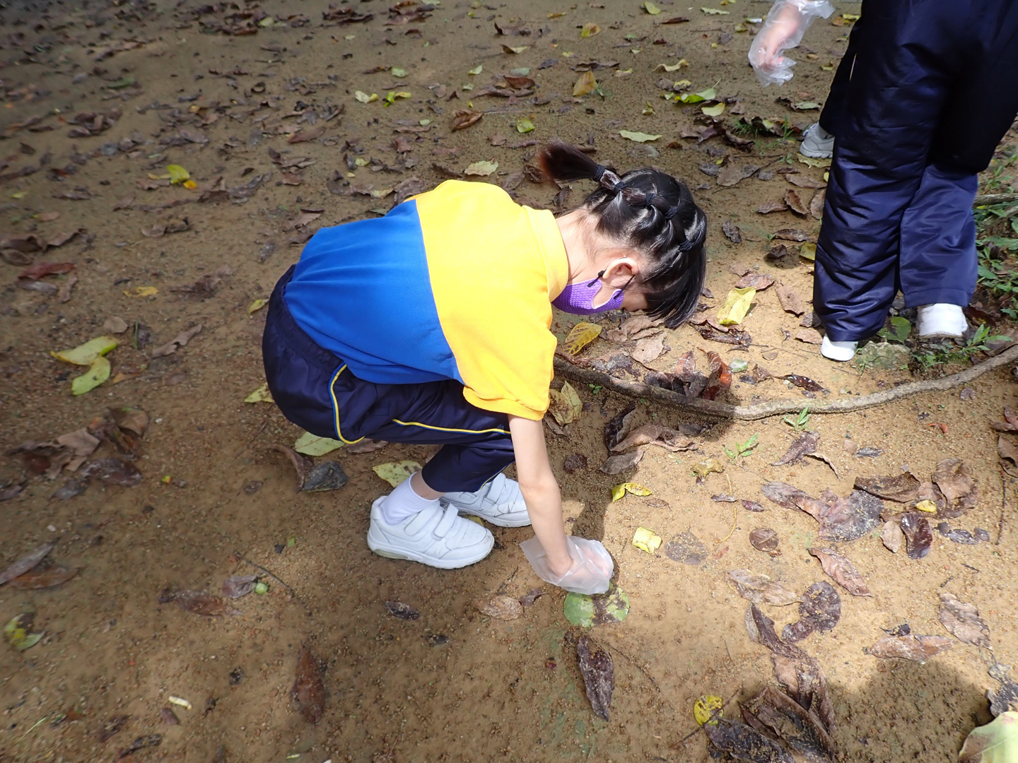 Photo of Hong Kong Biodiversity