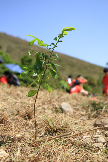 Hiking and Planting Day Banner