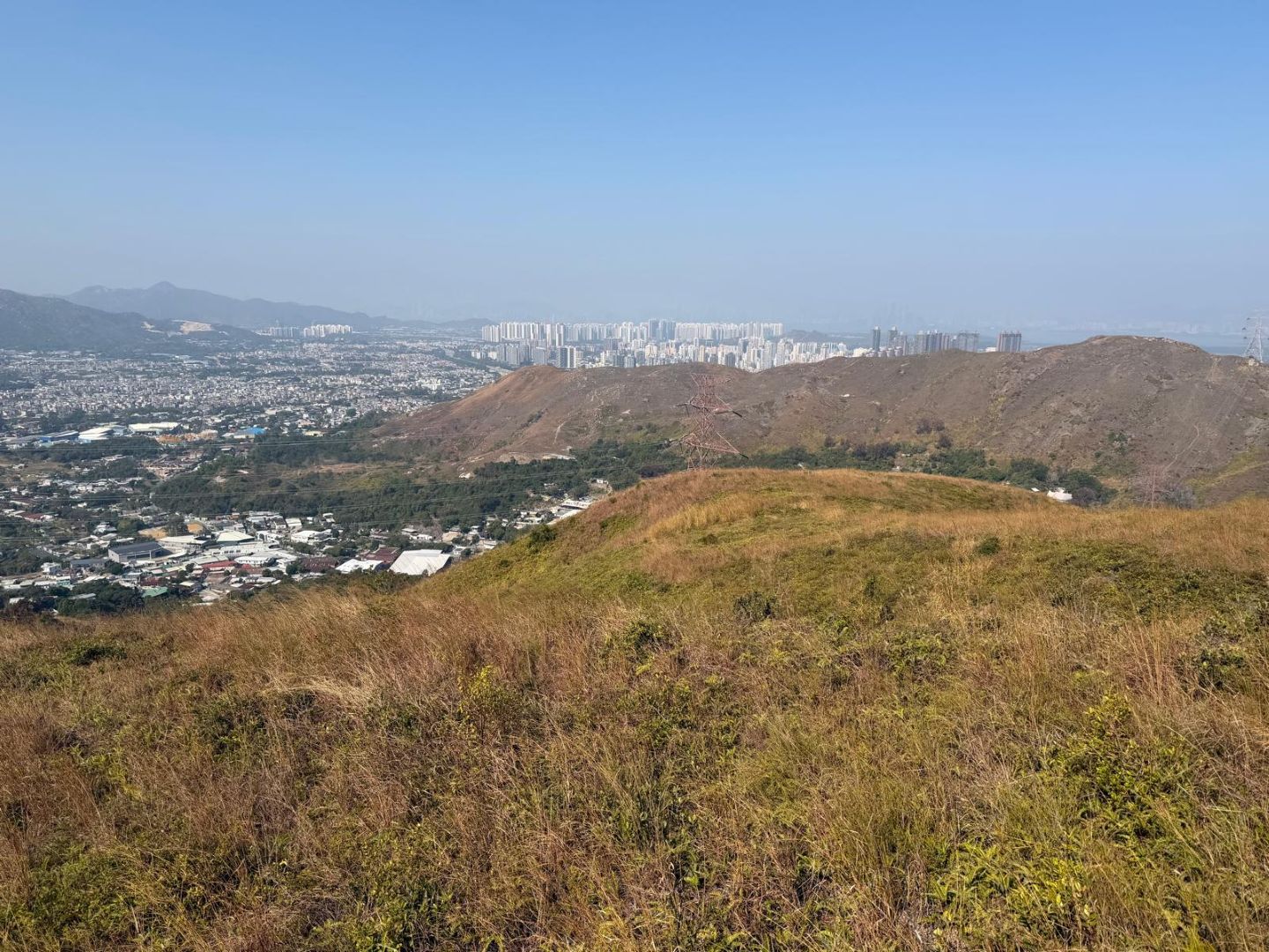 Hiking and Planting 2026 - Planting Site