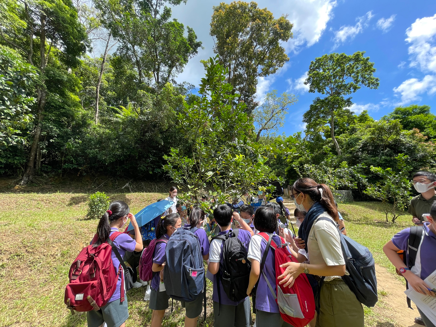 Outdoor Learning Programme Photo