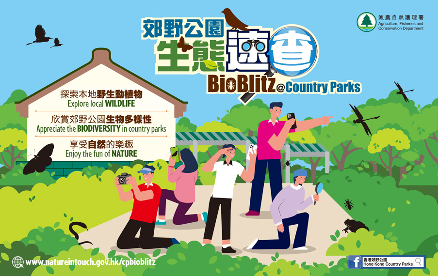 BioBlitz @ Country Parks - School Activity