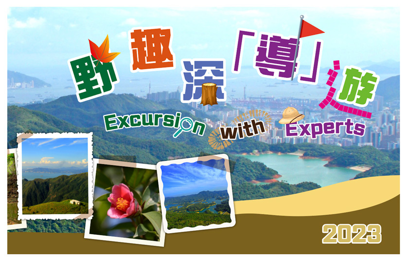 icon_Excursion_with_Expert