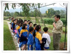 Nature in Touch Education Programmes
