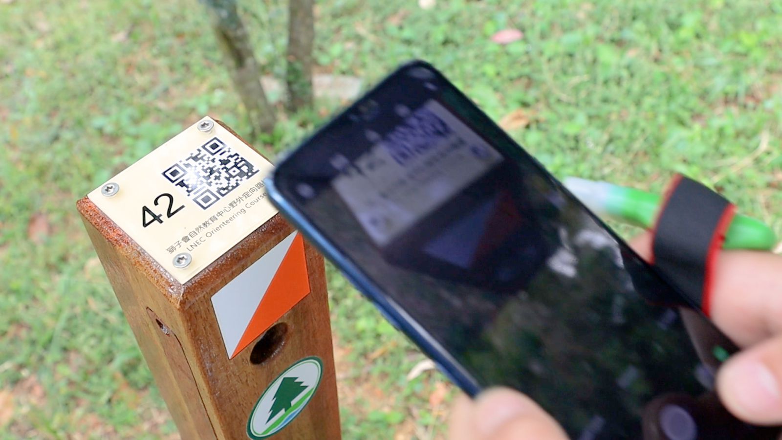 Photo of phone and QR code