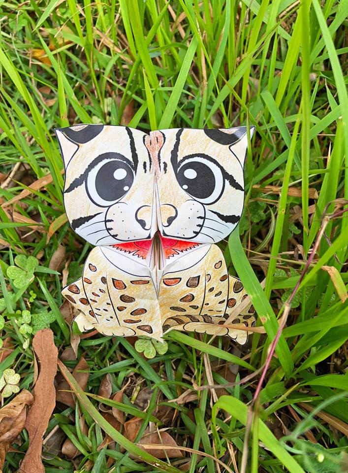 豹貓紙手偶 Leopard Cat Paper Puppet